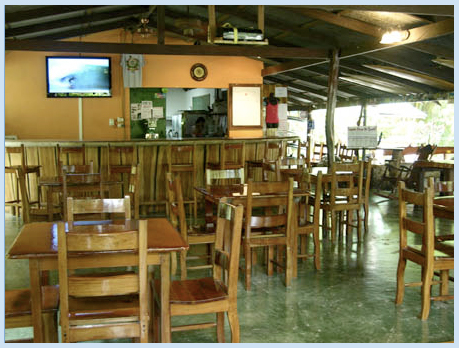 Malpais Surf Camp Malpais Surf Camp