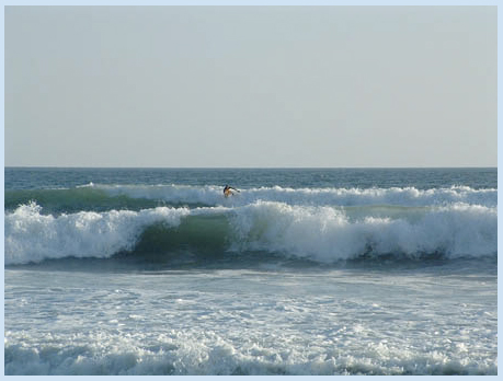 Malpais Surf Camp Malpais Surf Camp