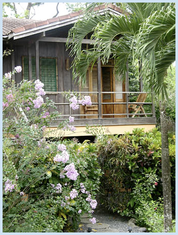Malpais Surf Camp Malpais Surf Camp