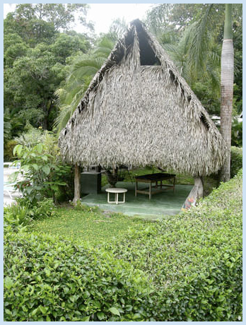 Malpais Surf Camp Malpais Surf Camp