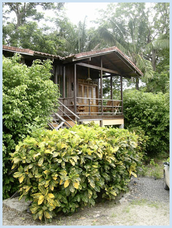 Malpais Surf Camp Malpais Surf Camp