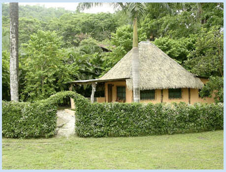 Malpais Surf Camp Malpais Surf Camp