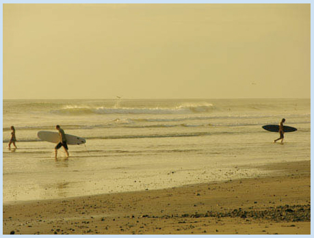 Malpais Surf Camp Malpais Surf Camp