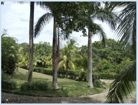 Malpais Surf Camp Malpais Surf Camp
