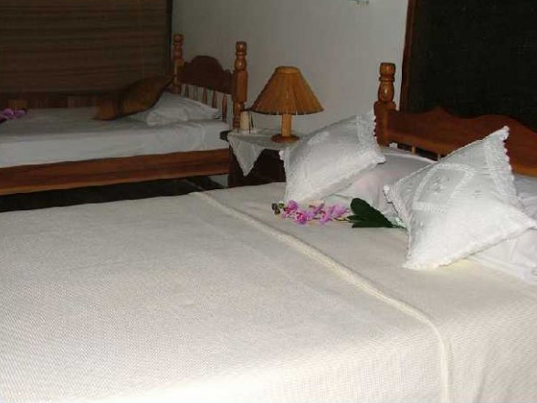 Blue Jay Eco-Lodge Blue Jay Eco-Lodge
