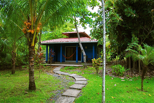 Casa Azul Casa Azul