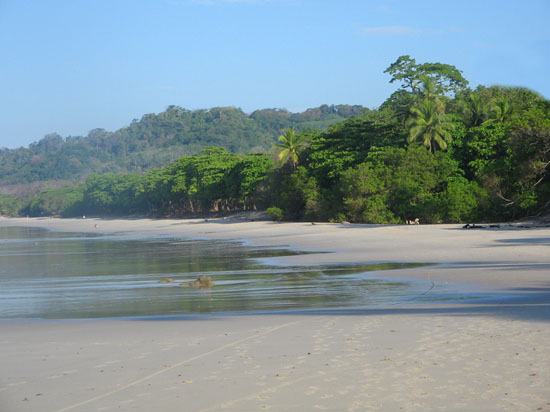 Punta Coco Punta Coco