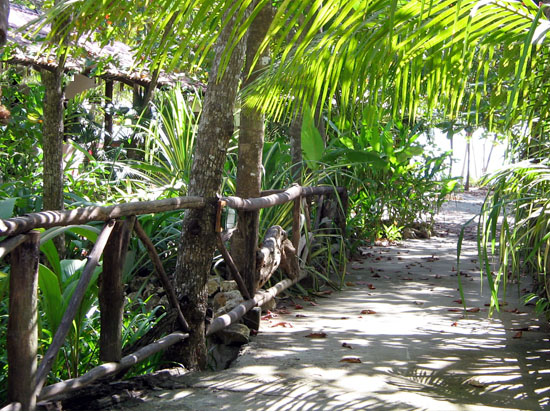Punta Coco