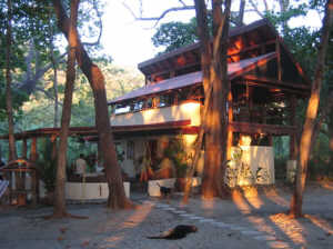 Bungalows Palmeras Rojas Bungalows Palmeras Rojas