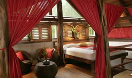 Red Palm Villas Red Palm Villas