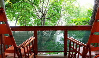 Red Palm Villas