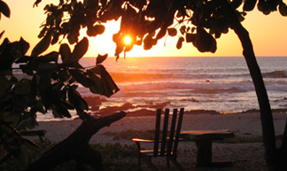 Red Palm Villas