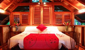 Red Palm Villas