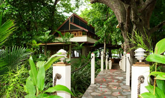 Red Palm Villas