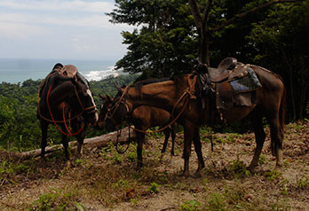Star Mountain Eco-Lodge