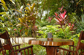 Star Mountain Eco-Lodge