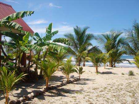 Casas con Súper vista Frente a la Playa Casas con Súper vista Frente a la Playa