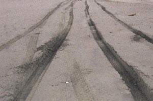 Illegal driving on the beach in Manzanillo, Costa Rica
