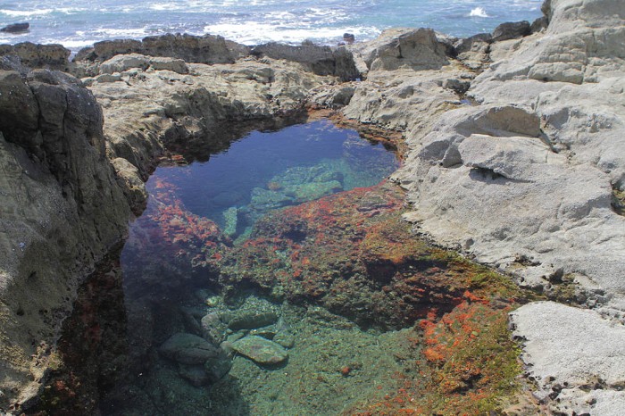 Malpais Tidepools