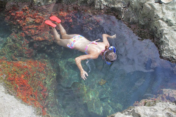 Malpais Tidepools