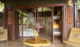 Funky Monkey Lodge Funky Monkey Lodge
