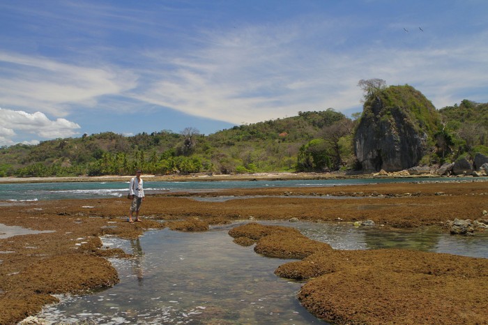 playa-los-suecos-malpais-2