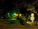 View The Night Life Album