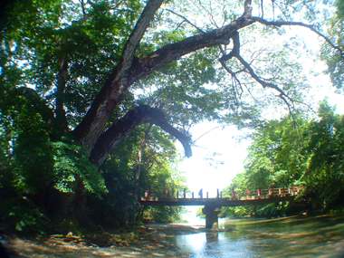 The Rio Lajas Rivermouth near Cabuya, Costa Rica