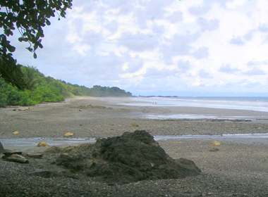 Montezuma's Playa Grande