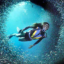 Scuba Diving Montezuma