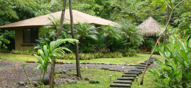 Casa Iguana Casa Iguana