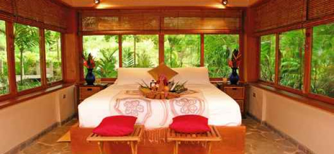 Red Palm Bungalows Red Palm Bungalows