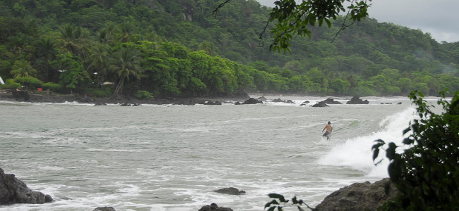 Info about the Red Tide in Montezuma-Malpais