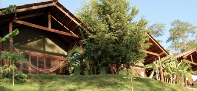 Funky Monkey Lodge Funky Monkey Lodge