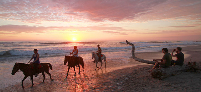 Horse Tours Horse Tours