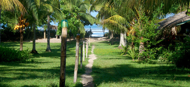 Zopilote Surf Camp Zopilote Surf Camp