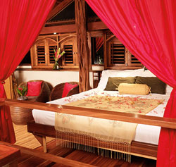 Red Palm Villas in Santa Teresa - Ideal for a Honeymoon