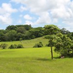 Cattle Ranch in Delicias