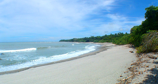 Playa Los Cedros