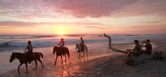 Horse Tours