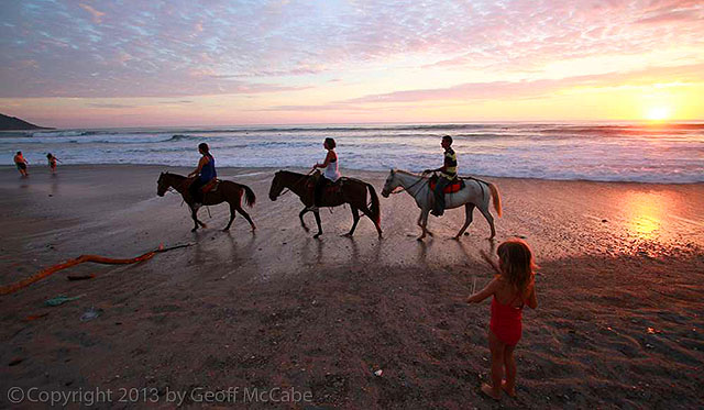 Three Costa Rican horses on the beach