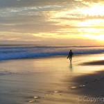 Sunset with Surfer