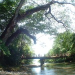 Rio Lajas Cabuya